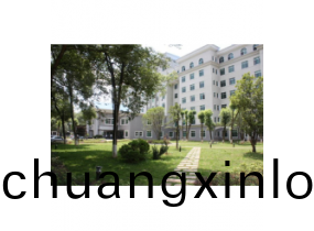 中(zhong)心(xin)醫院案例